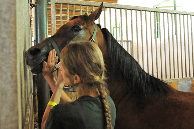 Mare Pelota gets beauty products applied prior to the Arabian horse auction in Janow Podlaski, Poland, Sunday, Aug. 14, 2016. Poland's right-wing government is facing a test of its reputation at the auction at a 199-year-old stud farm, after the state breeding program's reputation faced a setback earlier this year when the new conservative government purged the three top managers in the breeding program, considered a national treasure.(AP Photo/Alik Keplicz)