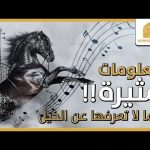 معلومات مثيرة ربما لا تعرفها عن الخيل [2020]