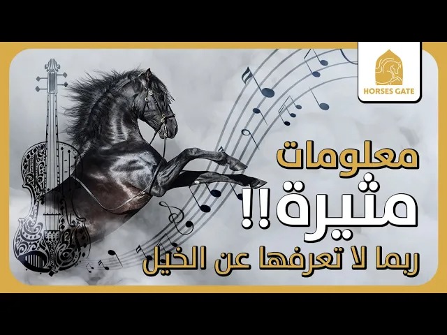 معلومات مثيرة ربما لا تعرفها عن الخيل [2020]