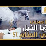 ما معنى رؤيا #الخيل في المنام ..؟! [2020]