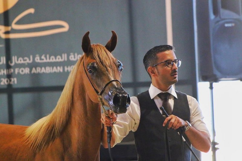 الخيل طرفه