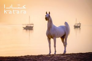 بوابة الخيل  