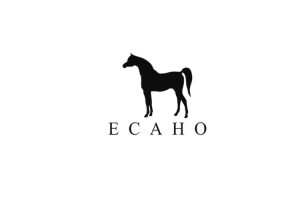 بوابة الخيل  