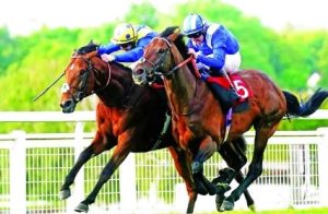 بوابة الخيل