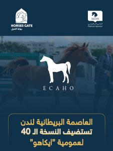 بوابة الخيل  