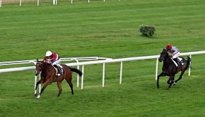 بوابة الخيل  