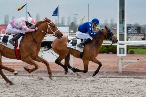 بوابة الخيل  