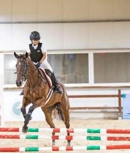 بوابة الخيل  