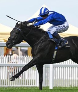 بوابة الخيل  