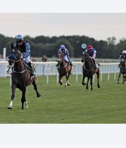 بوابة الخيل  