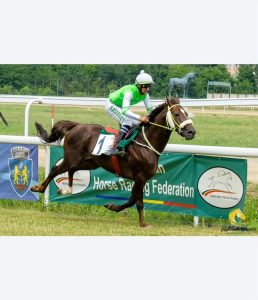 بوابة الخيل