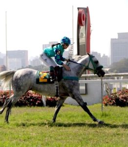 بوابة الخيل  