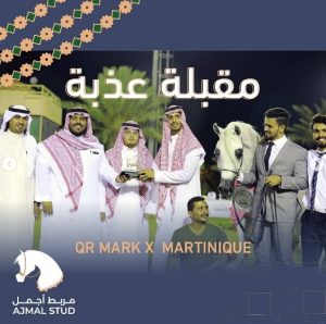 بوابة الخيل  