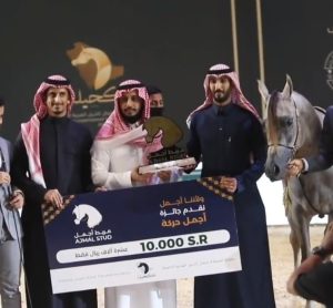 بوابة الخيل  