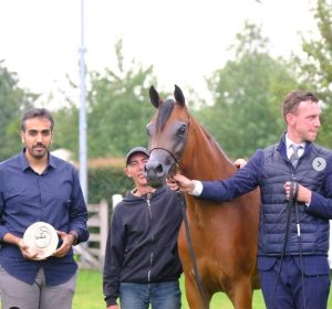 بوابة الخيل  