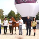بطولة جمال الخيل