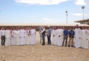 بوابة الخيل  