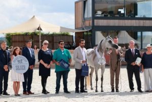 بوابة الخيل  