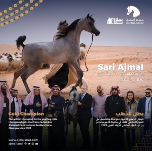 بوابة الخيل  