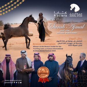 بوابة الخيل