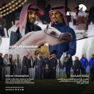 بوابة الخيل