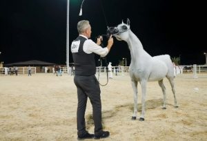 بوابة الخيل  