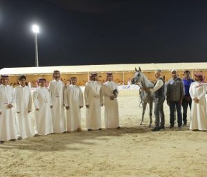 بوابة الخيل  