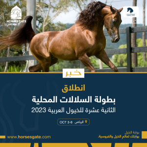 بوابة الخيل  