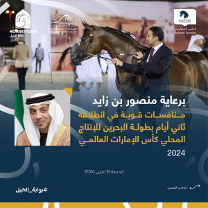 بوابة الخيل  
