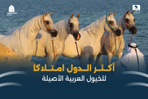 بوابة الخيل  
