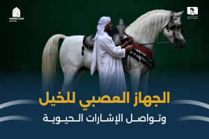 بوابة الخيل  