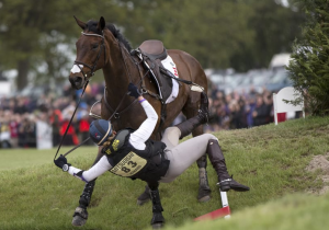 بوابة الخيل  