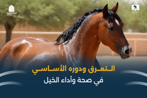 بوابة الخيل  
