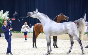 بوابة الخيل