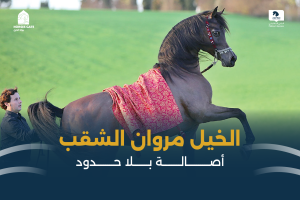 بوابة الخيل  
