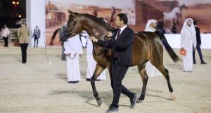 بوابة الخيل  