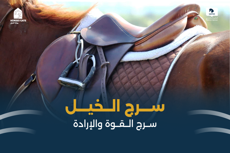 سرج الخيل سرج القوة والتحمل