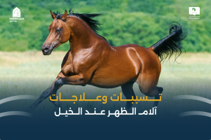 بوابة الخيل  