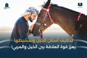 بوابة الخيل