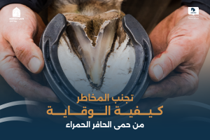 بوابة الخيل  