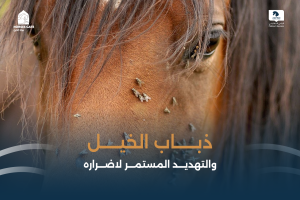 بوابة الخيل  