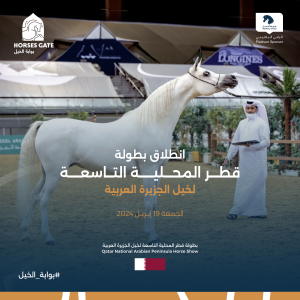 بوابة الخيل
