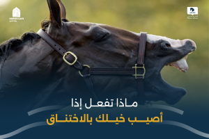 بوابة الخيل