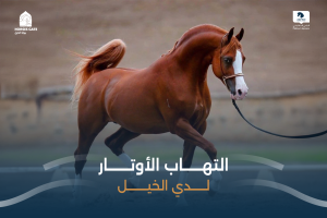 بوابة الخيل  