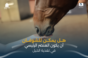 بوابة الخيل  