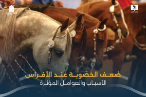 بوابة الخيل