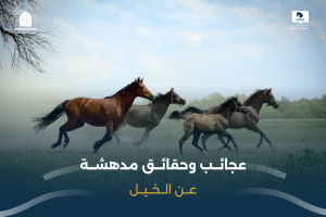 بوابة الخيل  