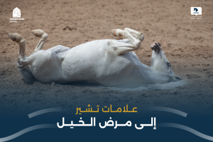 بوابة الخيل  