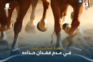 بوابة الخيل  