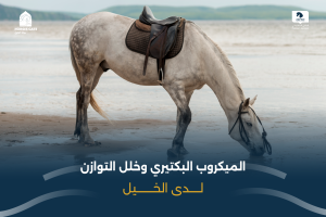 بوابة الخيل